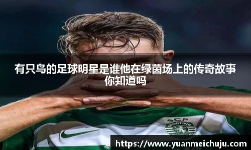 有只鸟的足球明星是谁他在绿茵场上的传奇故事你知道吗